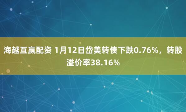 海越互赢配资 1月12日岱美转债下跌0.76%，转股溢价率38.16%